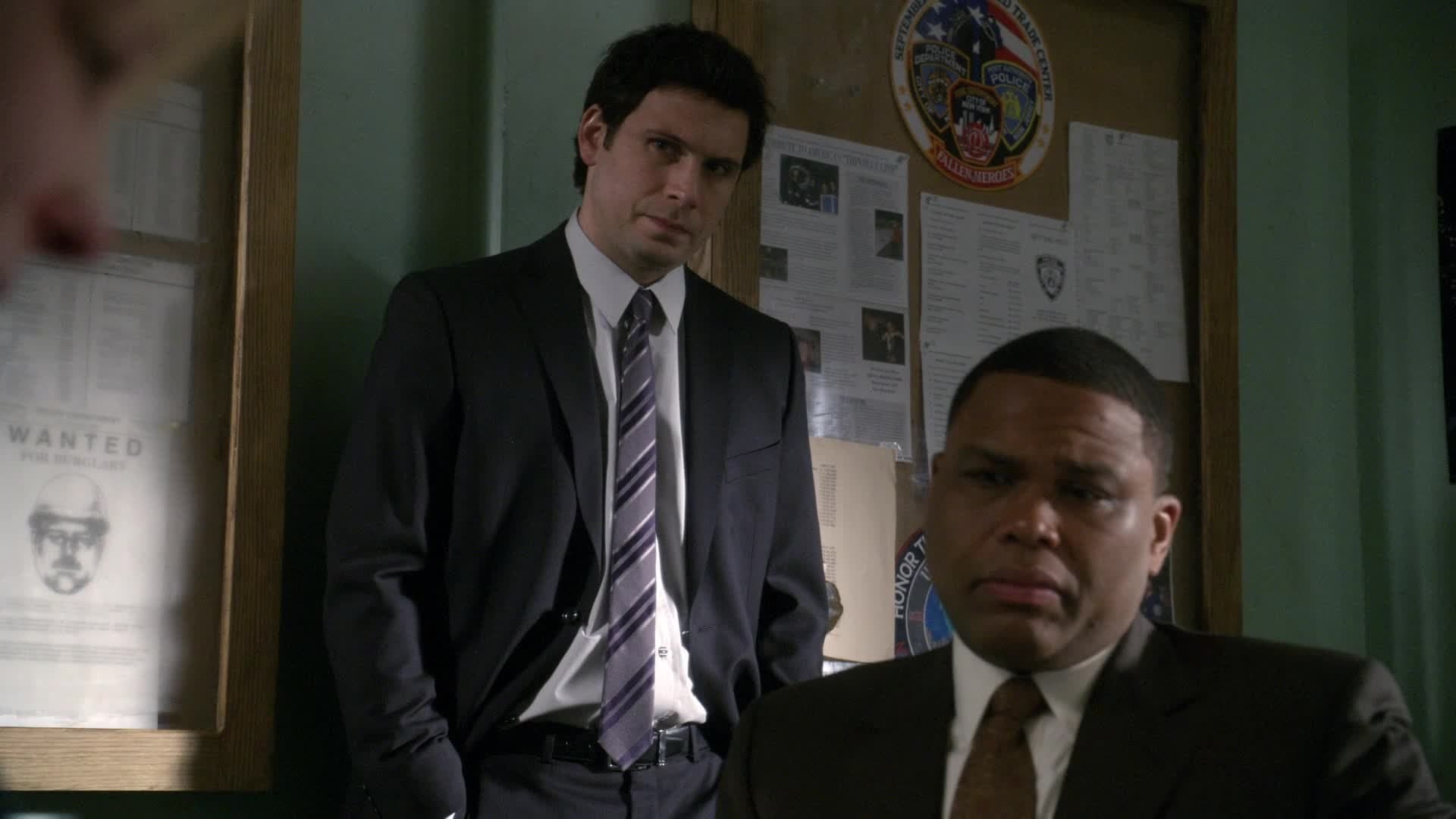 Law & Order Season 20 :Episode 15  Brilliant Disguise