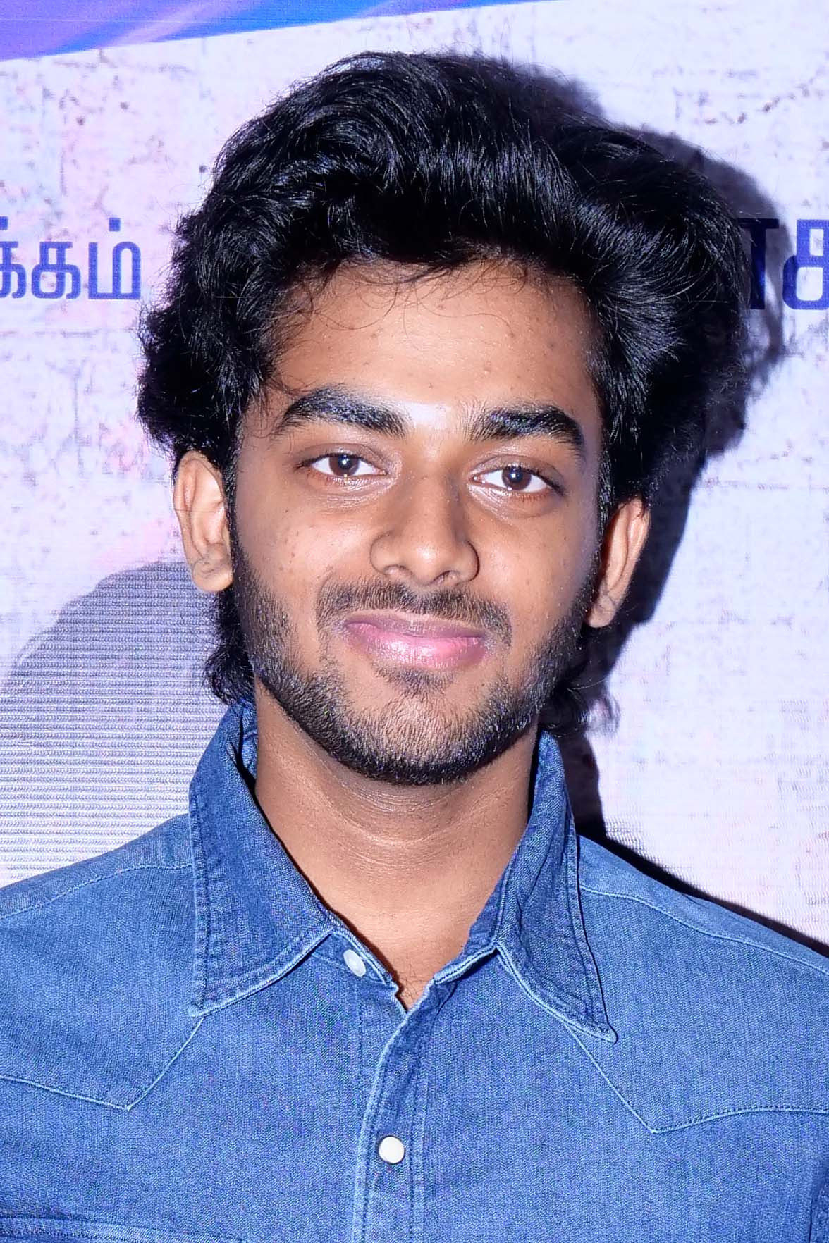 et billede af Hamaresh