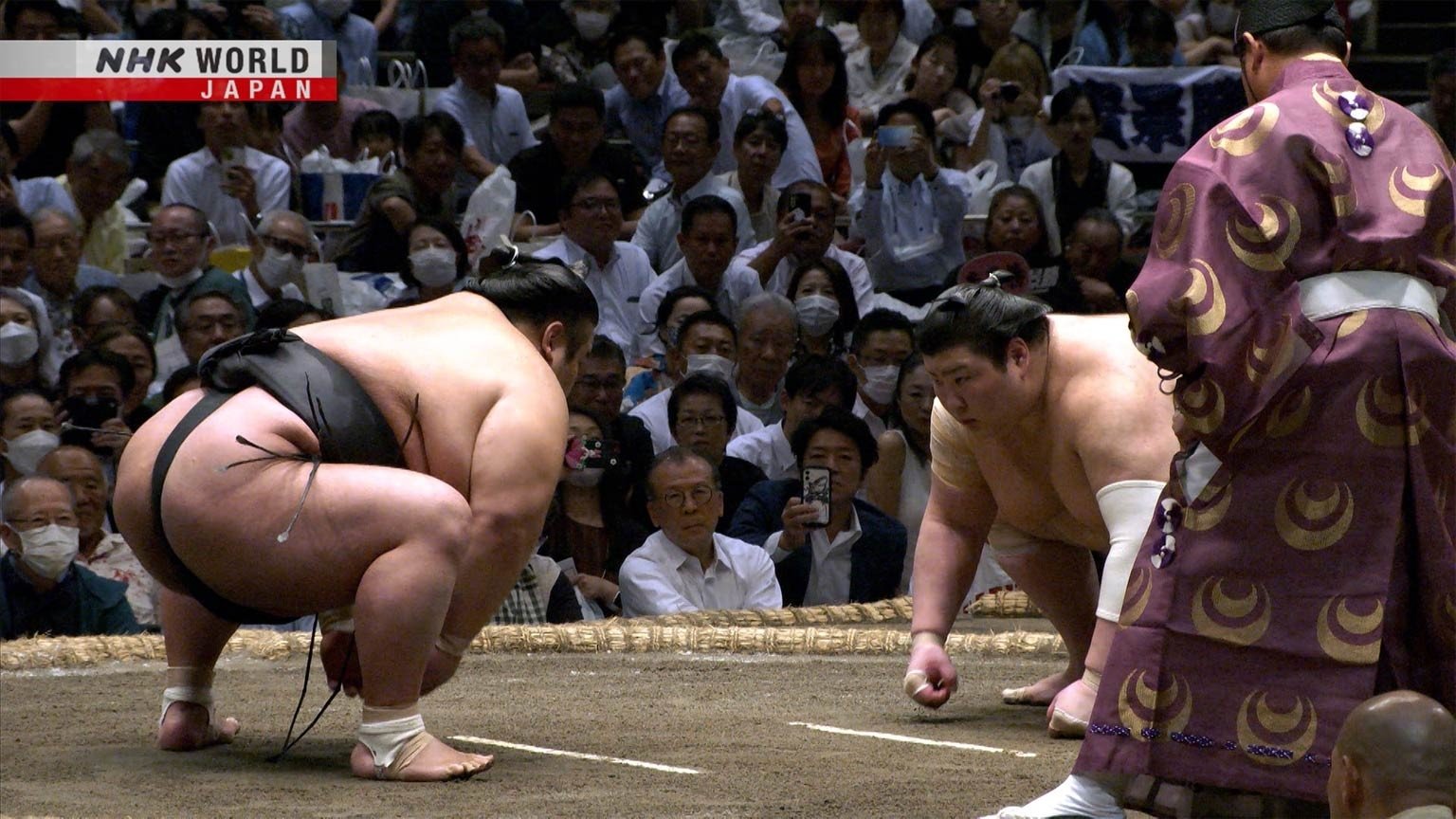 GRAND SUMO Highlights