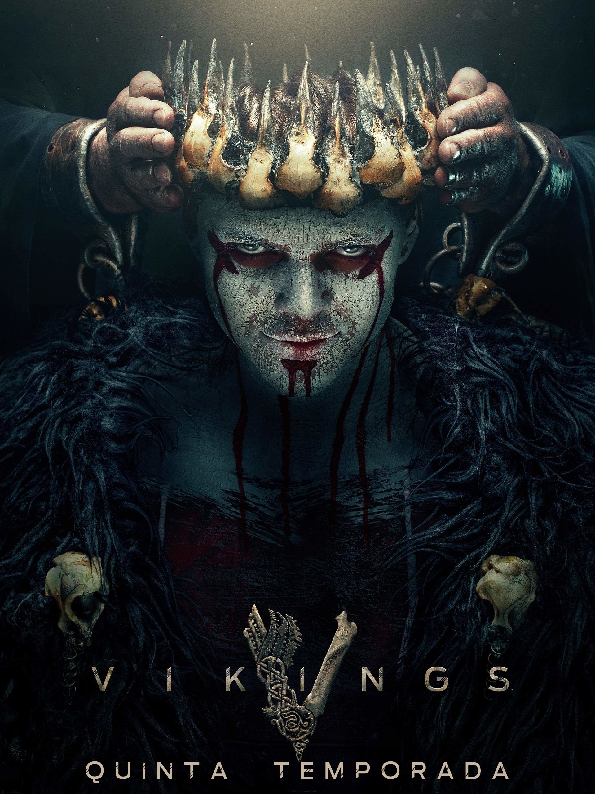 Capa da 5º temporada da série Vikings