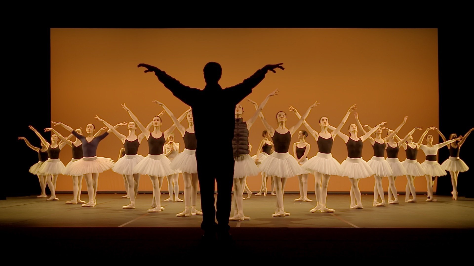 Seule la danse, une année au conservatoire de Paris
