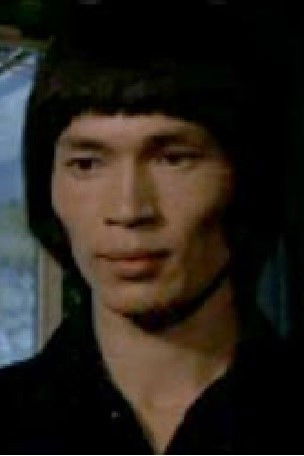 et billede af Dik Lun