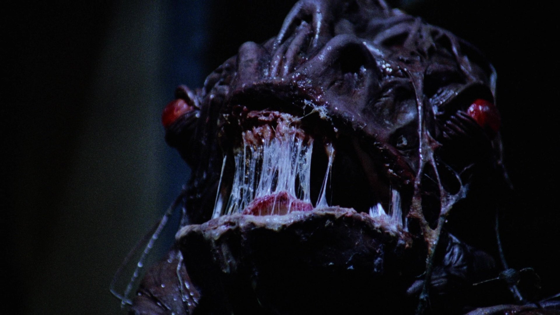 Shocking Dark (1989)