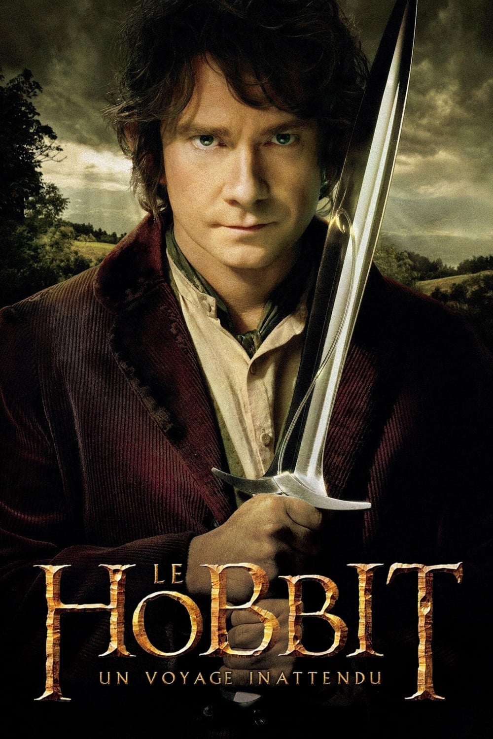 Affiche du film Le Hobbit : un voyage inattendu (version longue) 140372