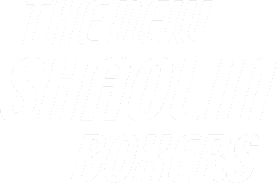 The New Shaolin Boxers