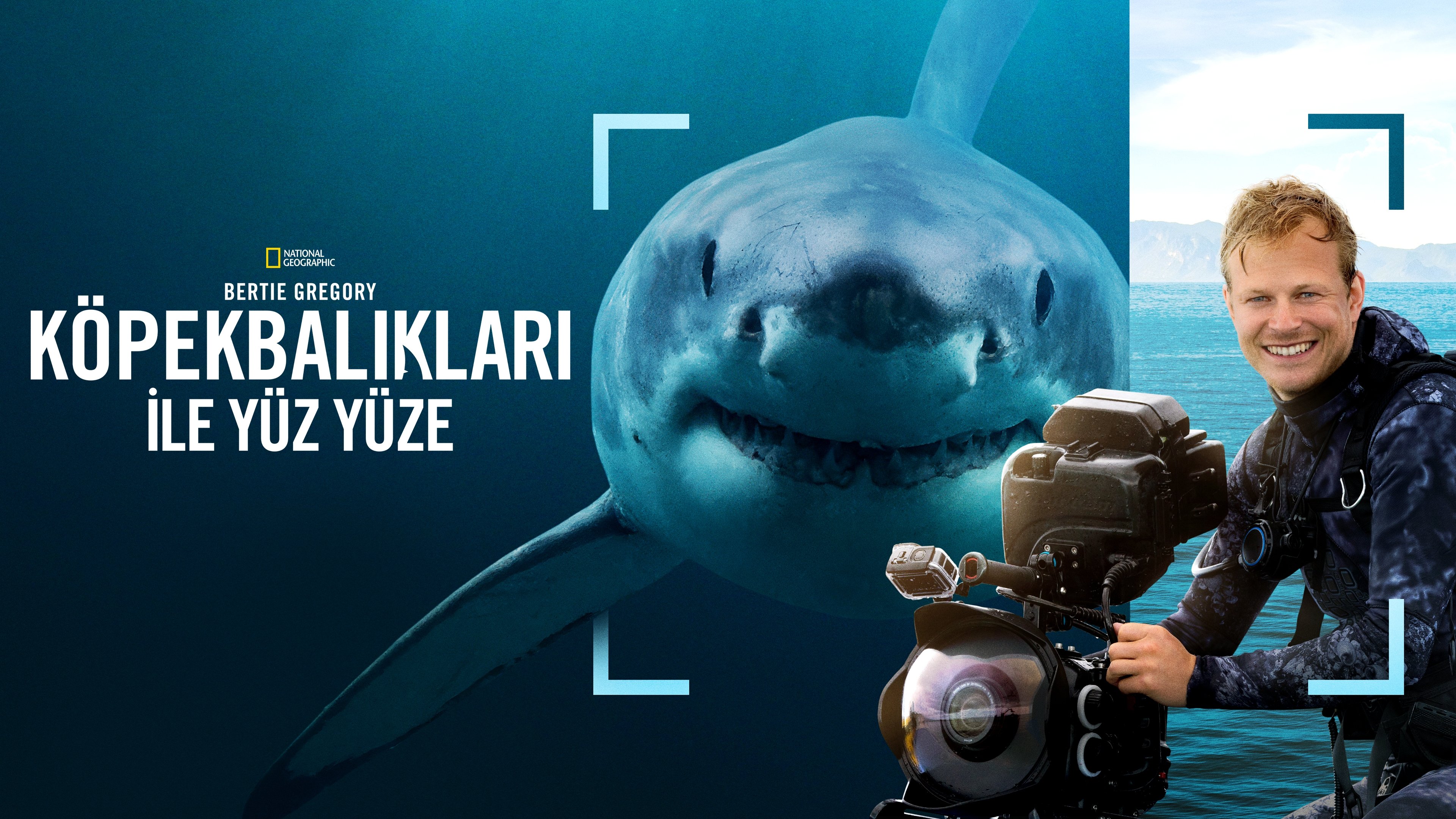 Sharks Up Close with Bertie Gregory backdrop