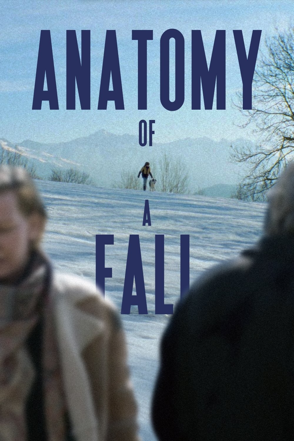Anatomy of a Fall