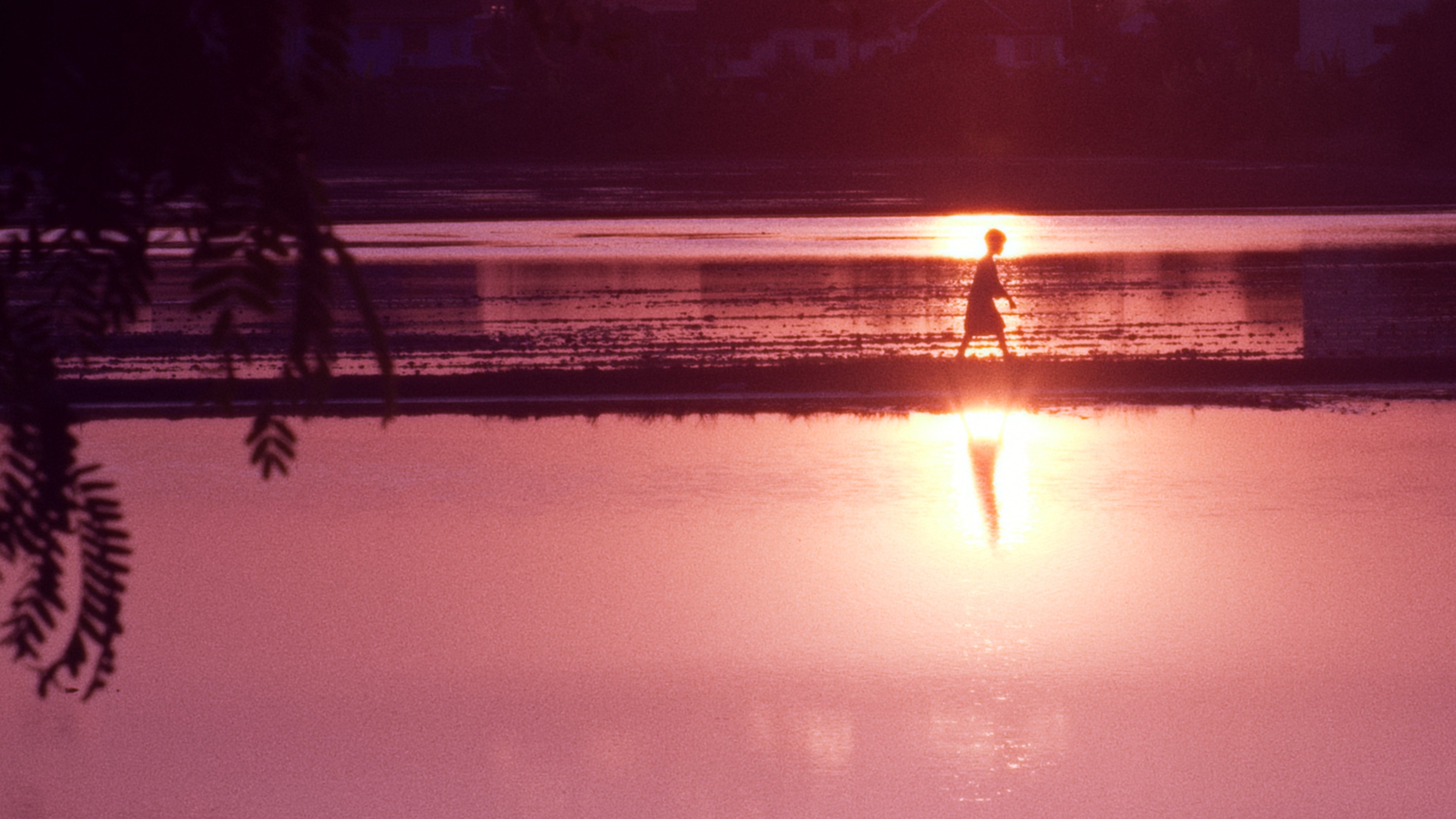 Imagem do Filme A Man and the Child