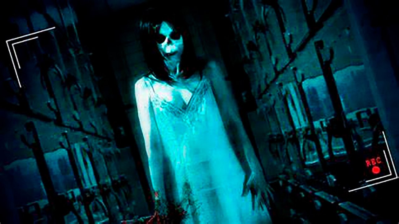 Paranormal Asylum: The Revenge of Typhoid Mary (2013)