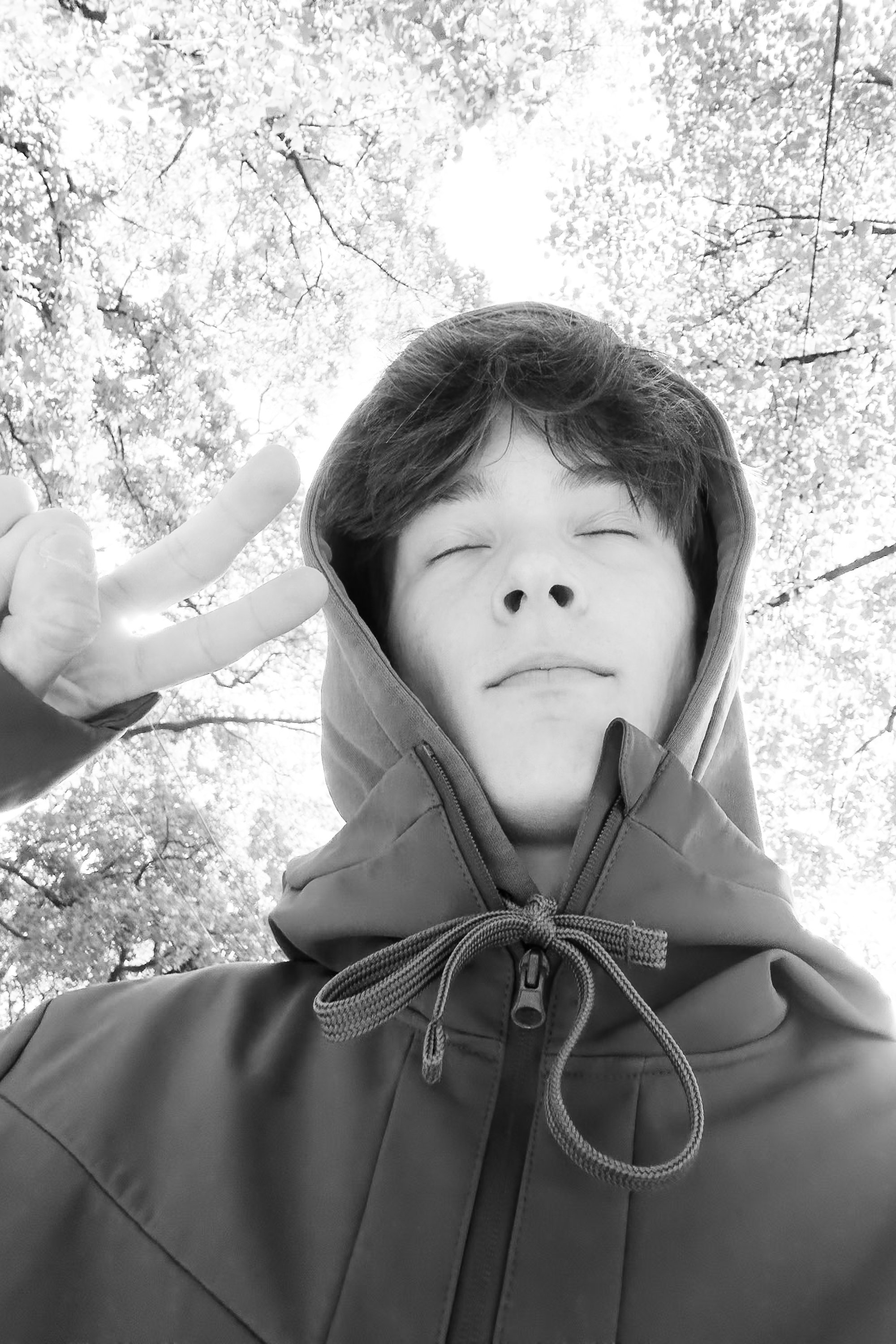 et billede af Emils Mikelsons