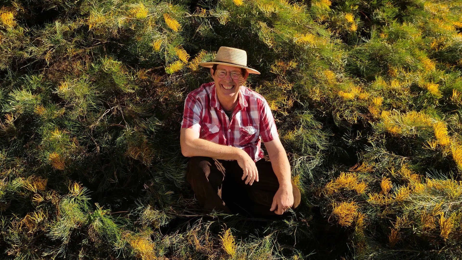 Gardening Australia