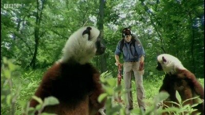 Episode 11