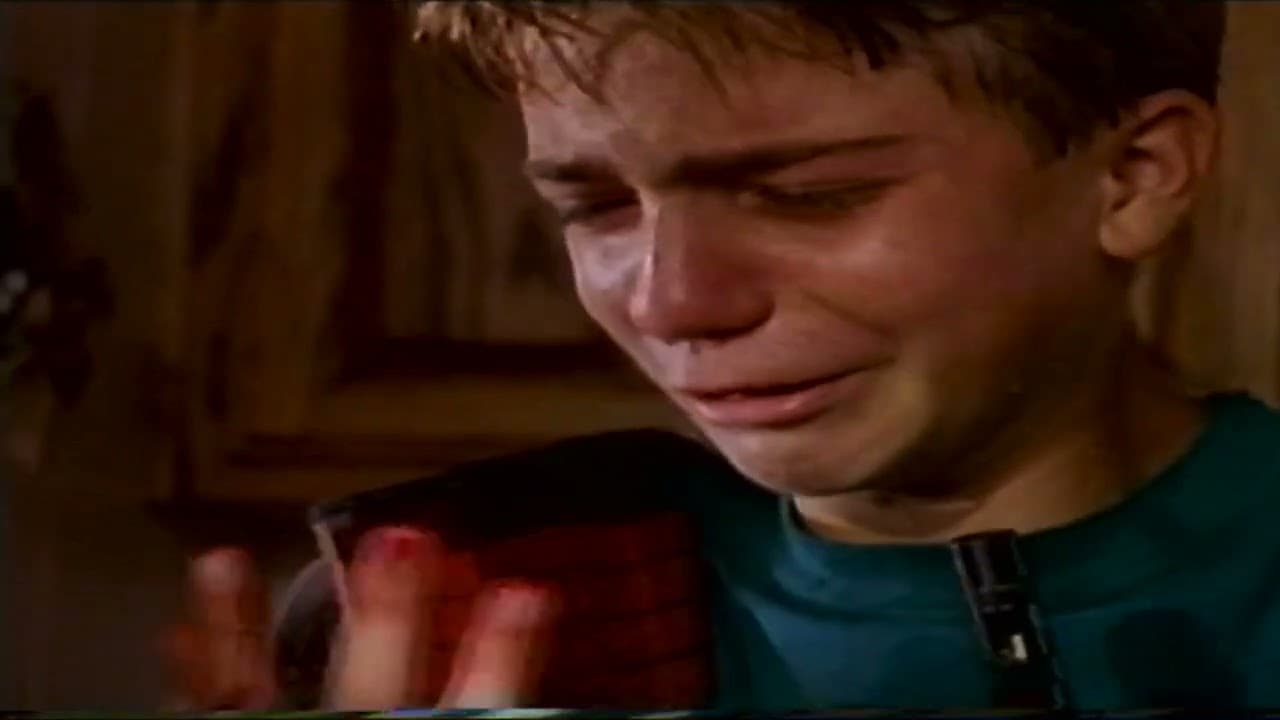 Armed and Innocent (1994)