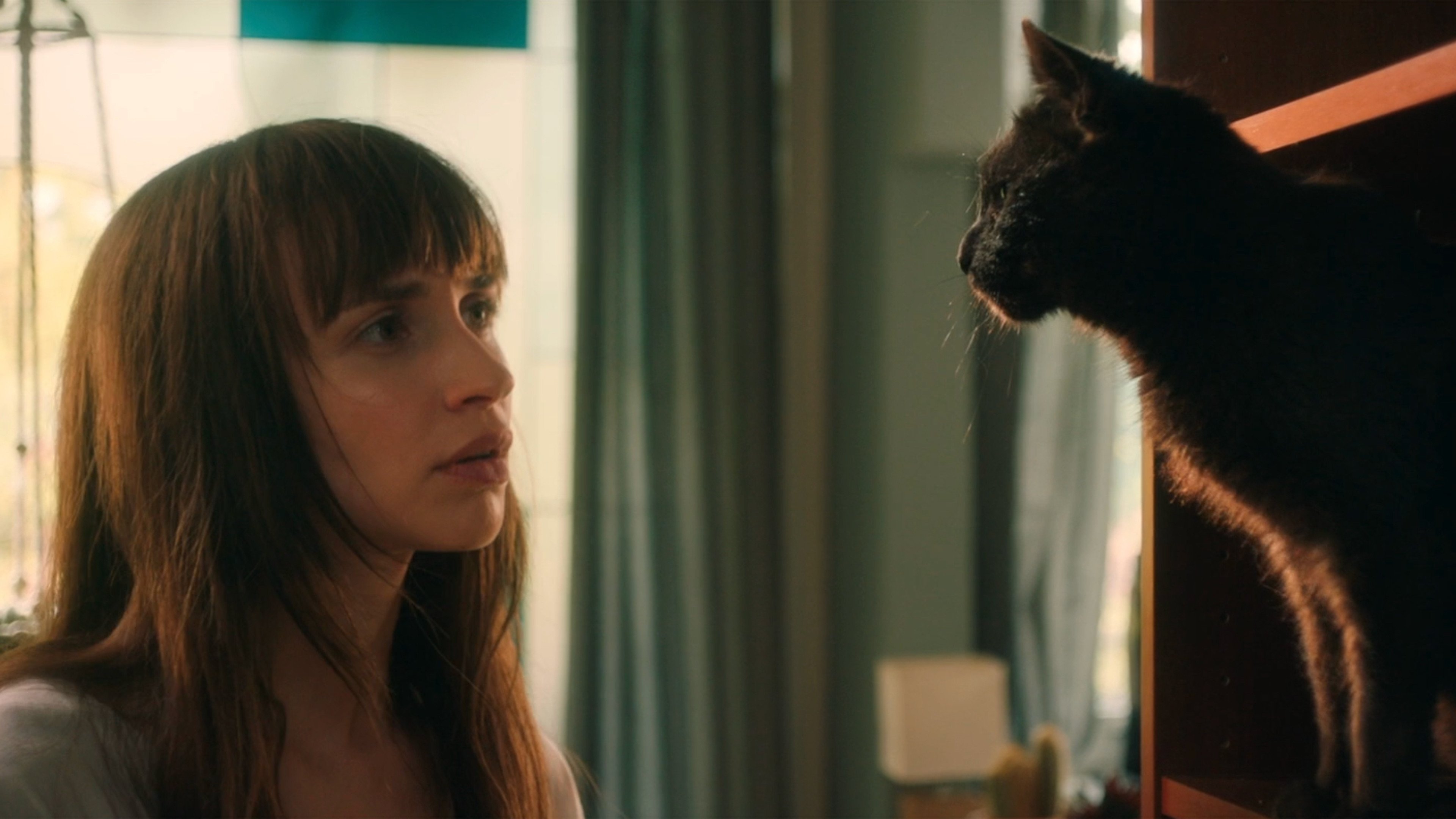 Cat Call (2023)