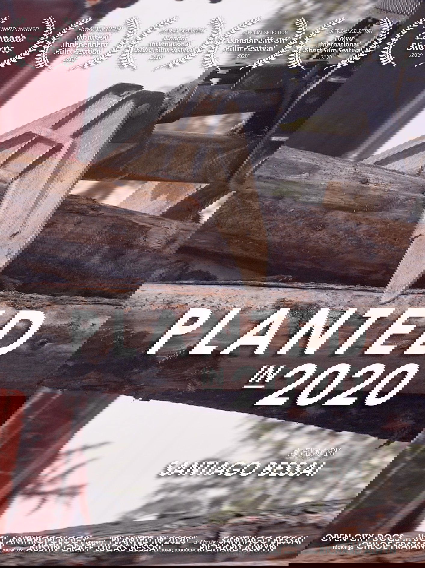 Planted in 2020