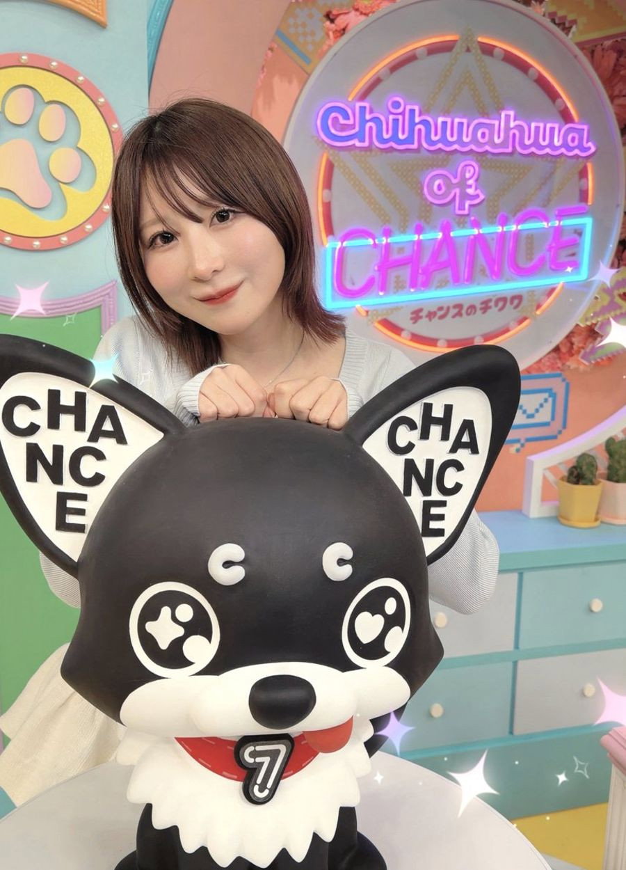 チャンスのチワワ