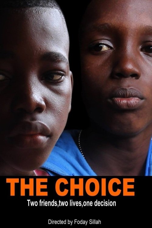 Poster for The Choice