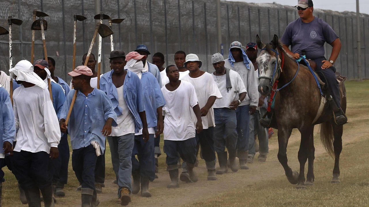 The Farm: Angola, USA