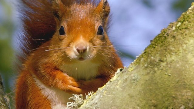 Thumbnail for Secrets Season 0 Episode 2