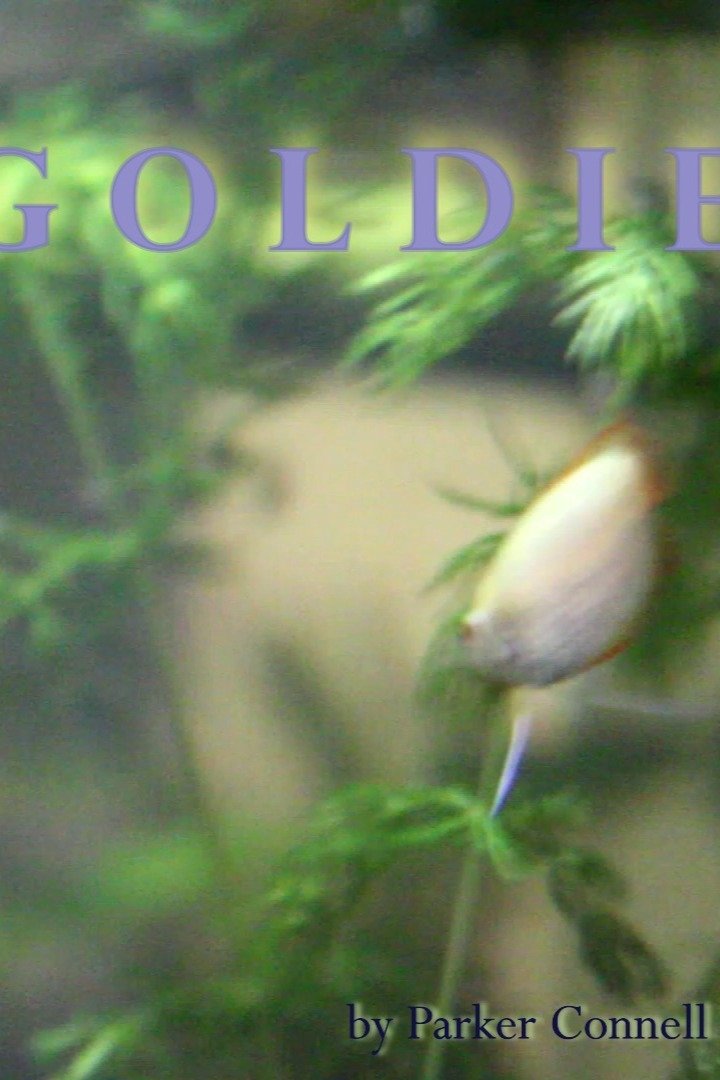 Content cover