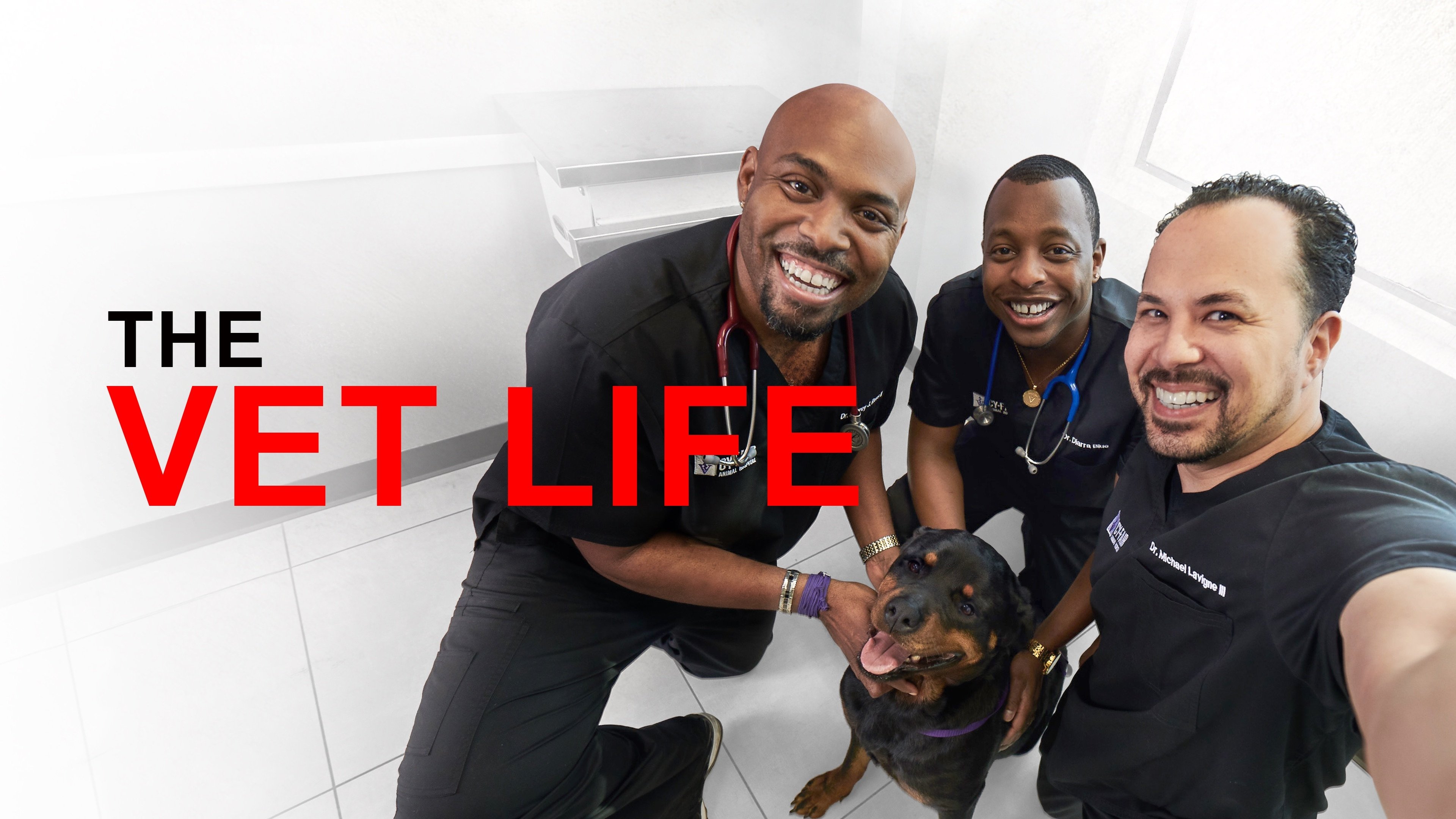 The Vet Life