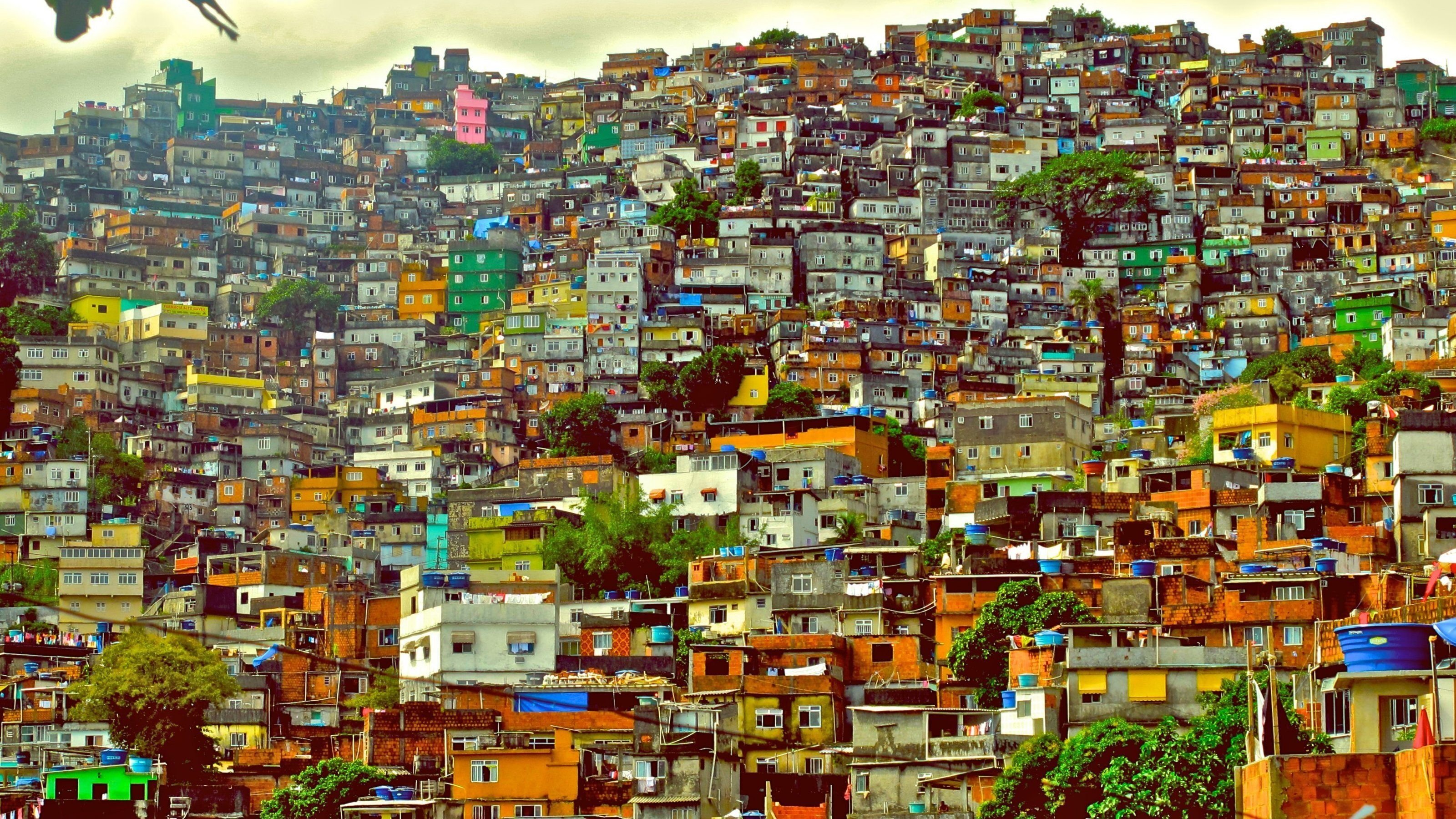 Imagem do Filme Surfing Favela