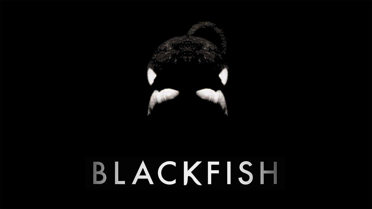 Blackfish (2013)