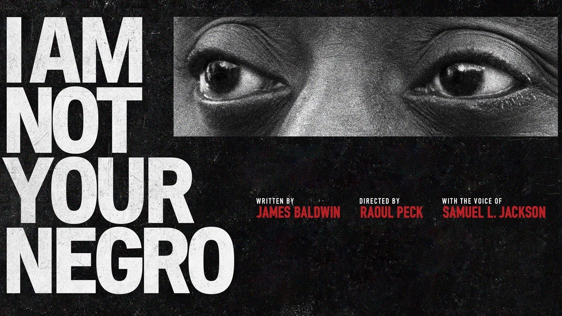 I Am Not Your Negro (2017)