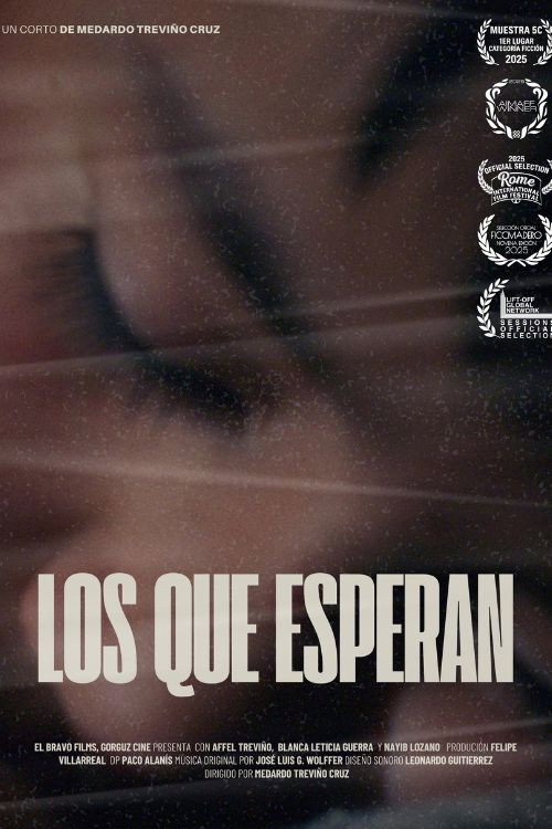 poster movie Los que esperan