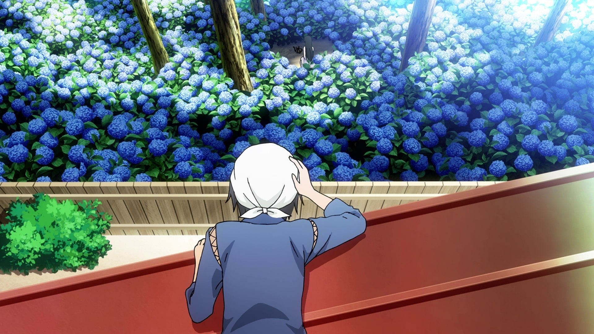 Sankarea: Undying Love