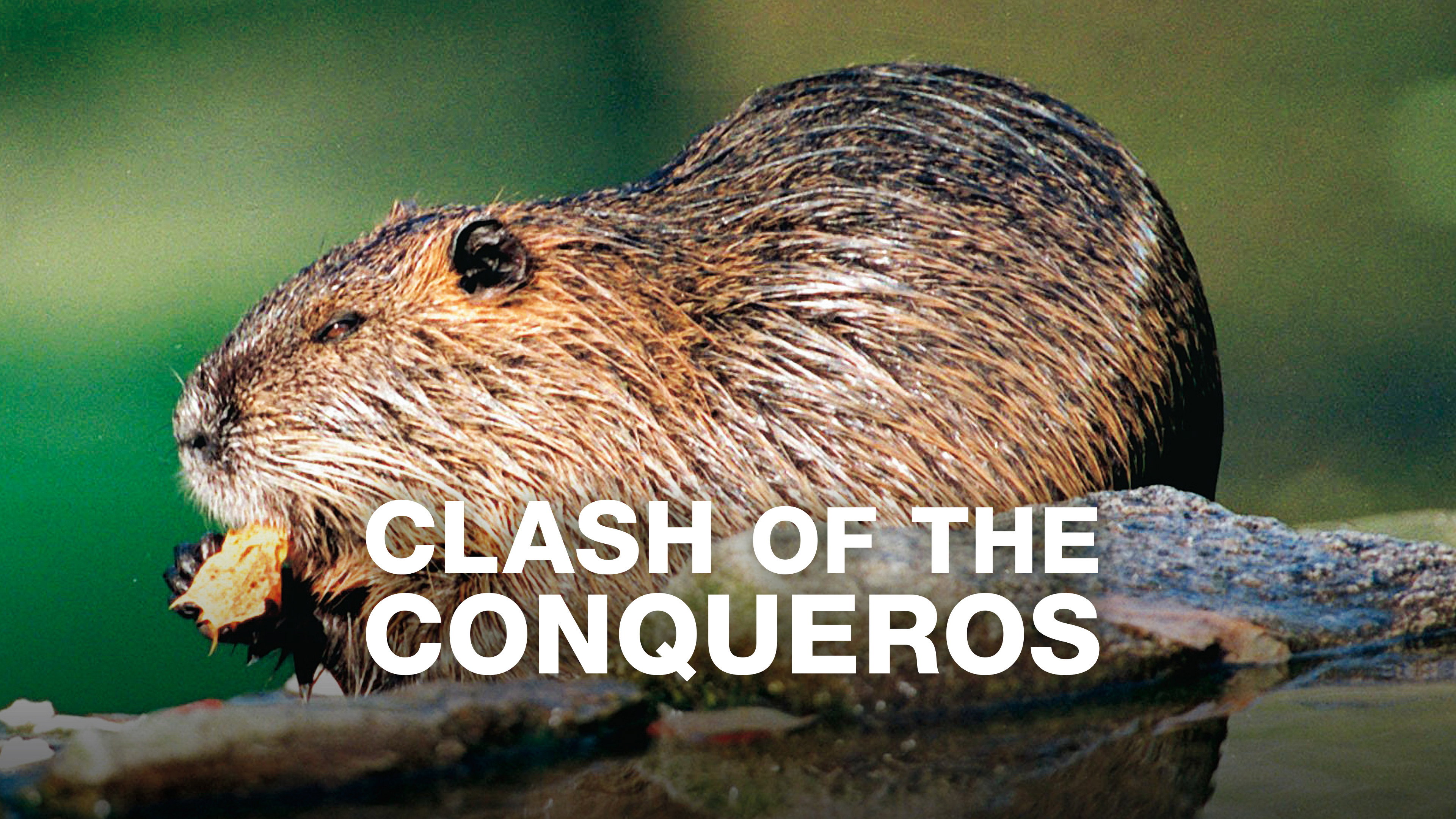 Clash of the Conquerors