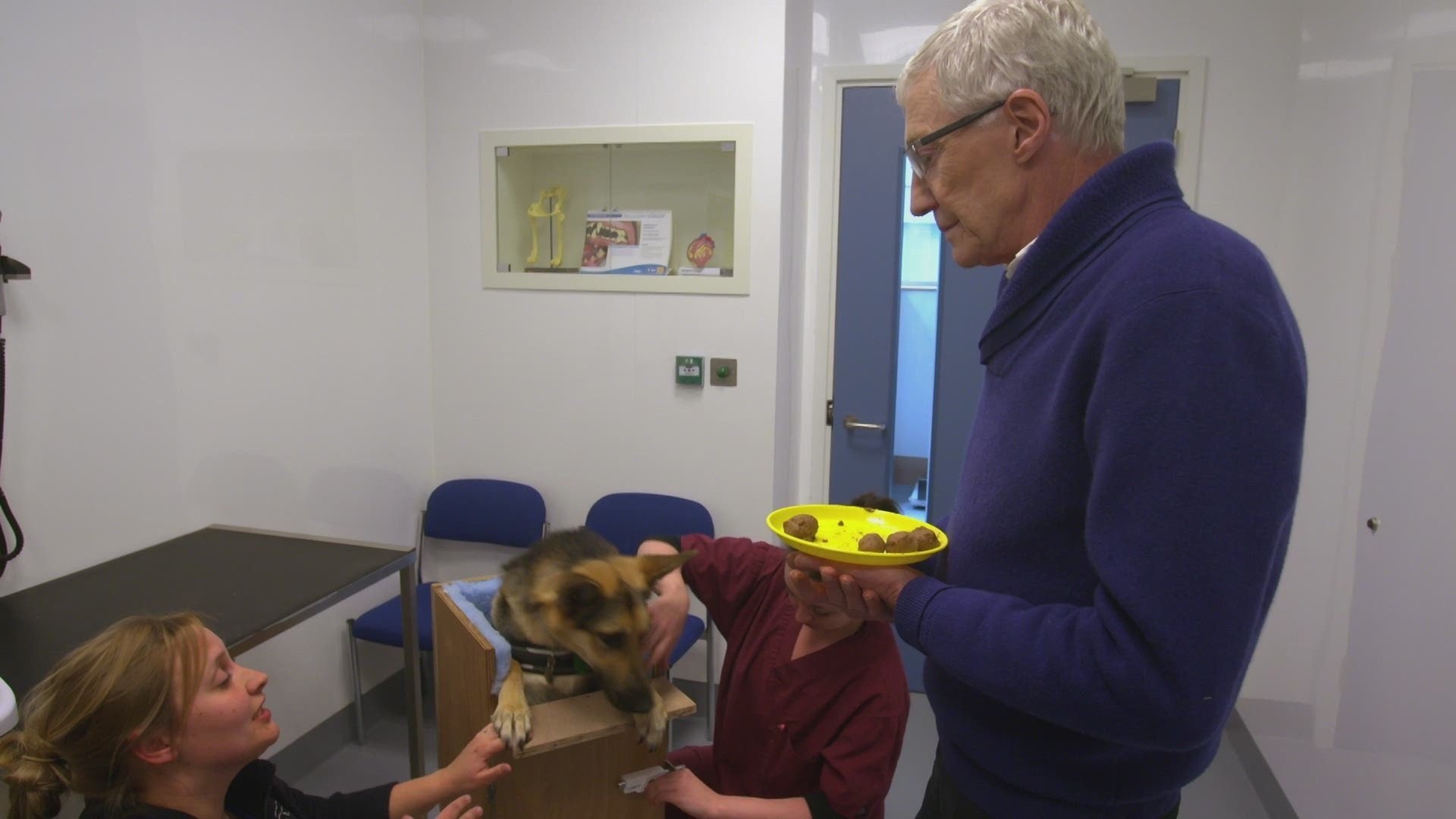Paul O'Grady, pour l'amour des chiens - Épisode 7
