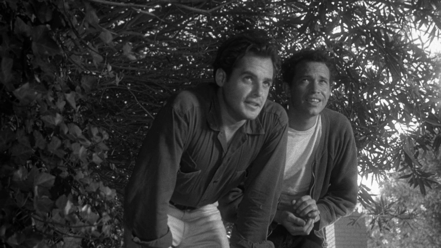 Private Property (1960)
