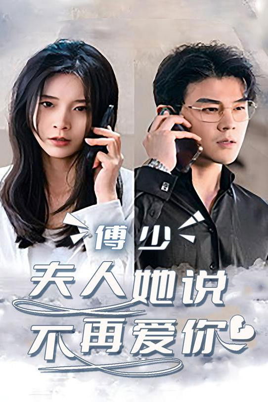 傅少，夫人她说不再爱你