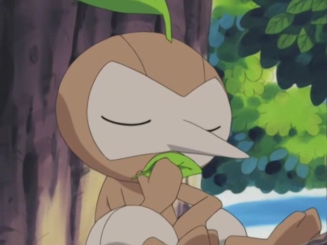 Pokémon Season 6 :Episode 26  Turning Over a Nuzleaf