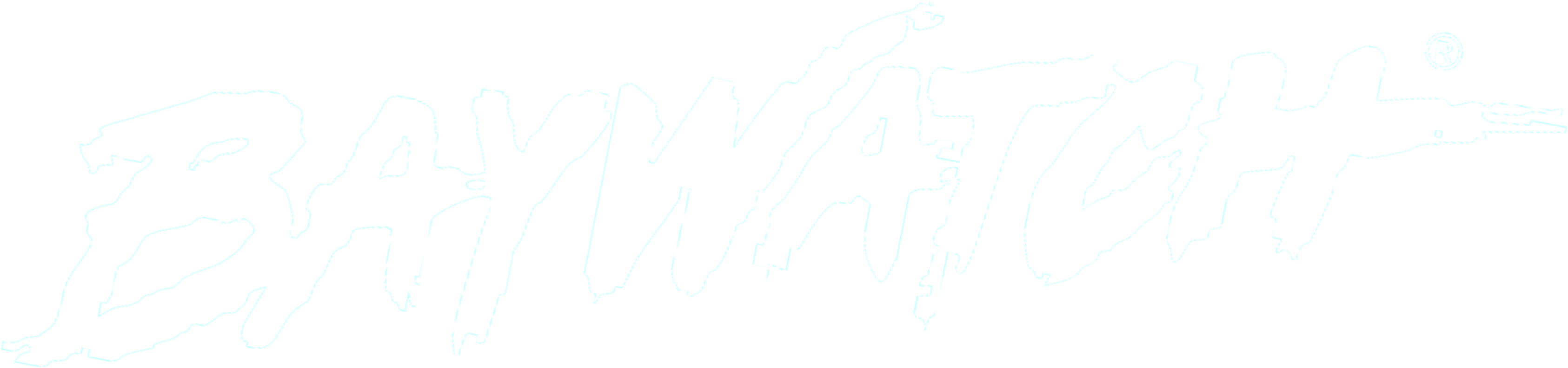 Baywatch Logo