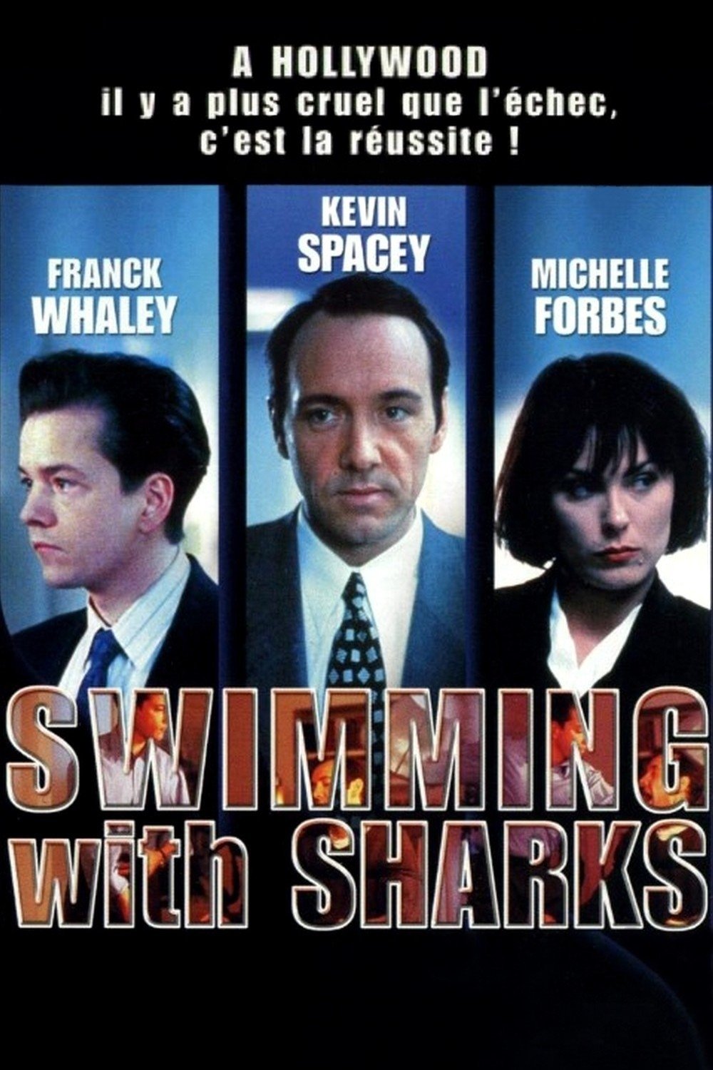 Swimming with sharks