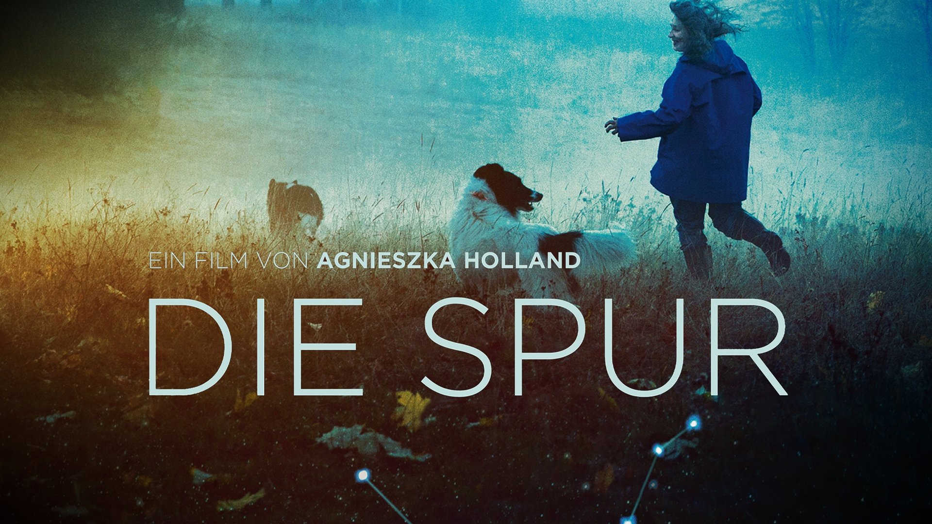Spoor