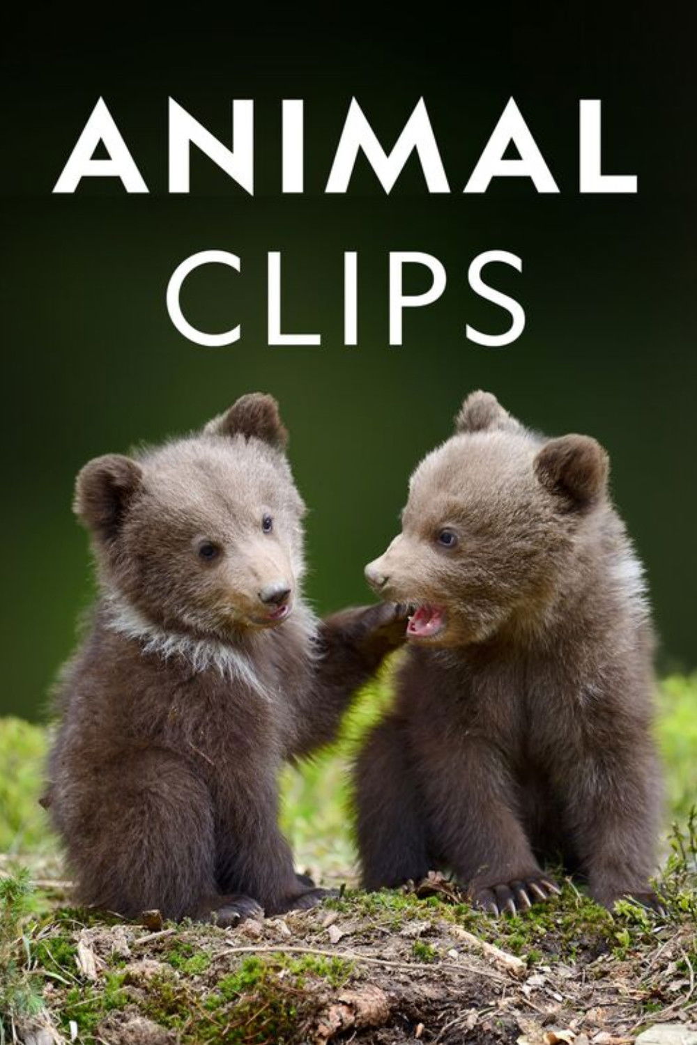 Animal Clips (2017) The Poster Database (TPDb)