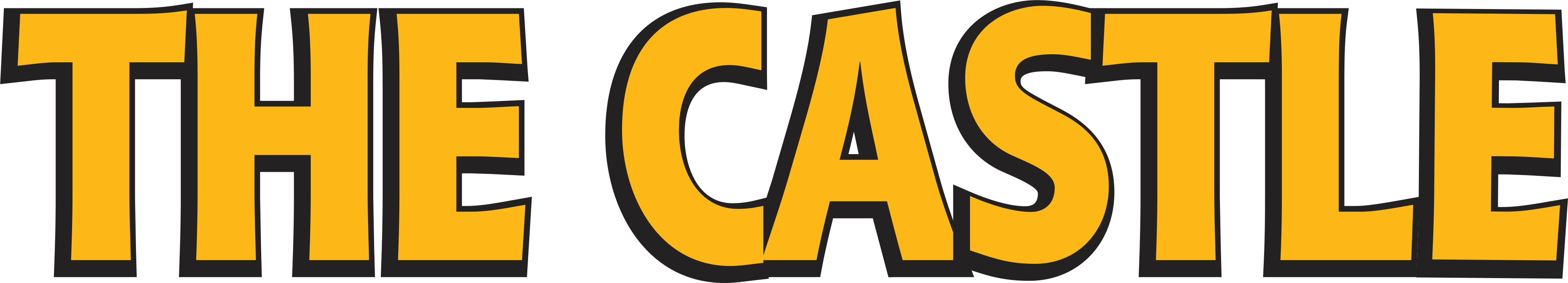 The Castle Logo