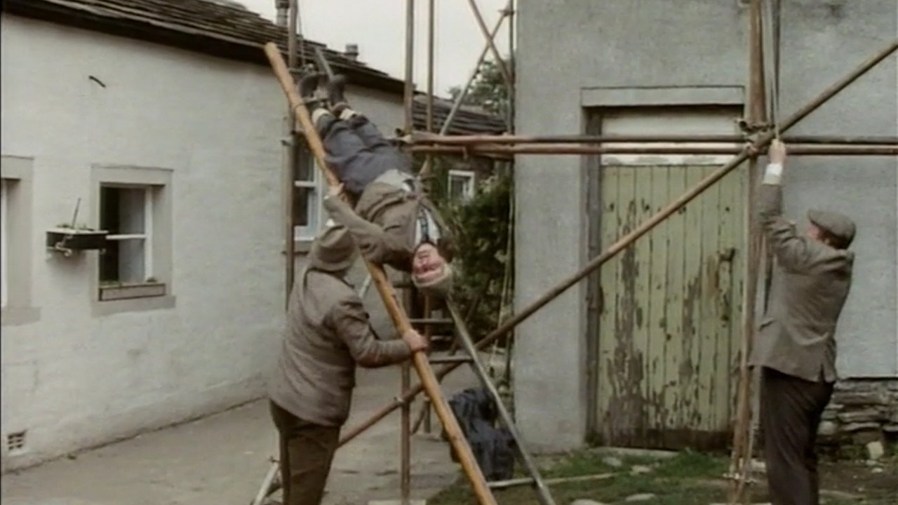 Last of the Summer Wine