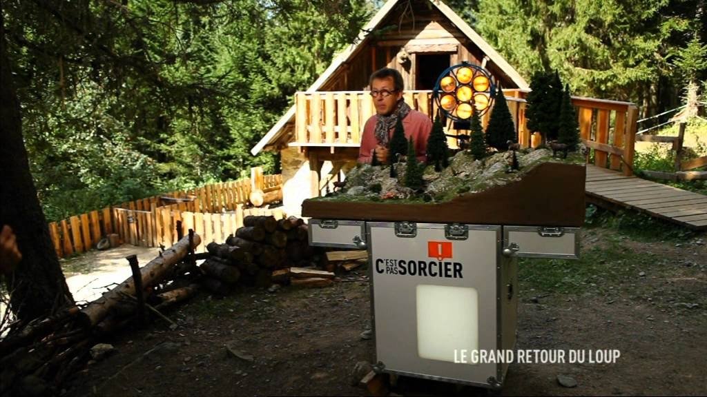 C'est pas sorcier - Le grand retour du loup