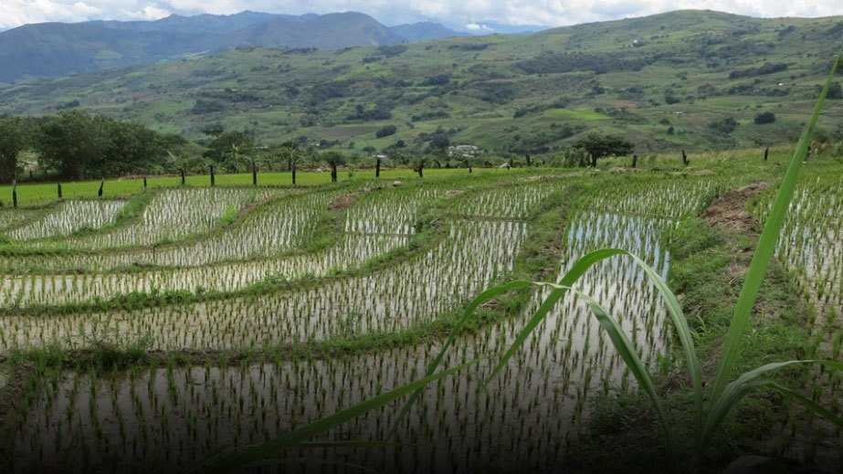 Anthony Bourdain: Parts Unknown