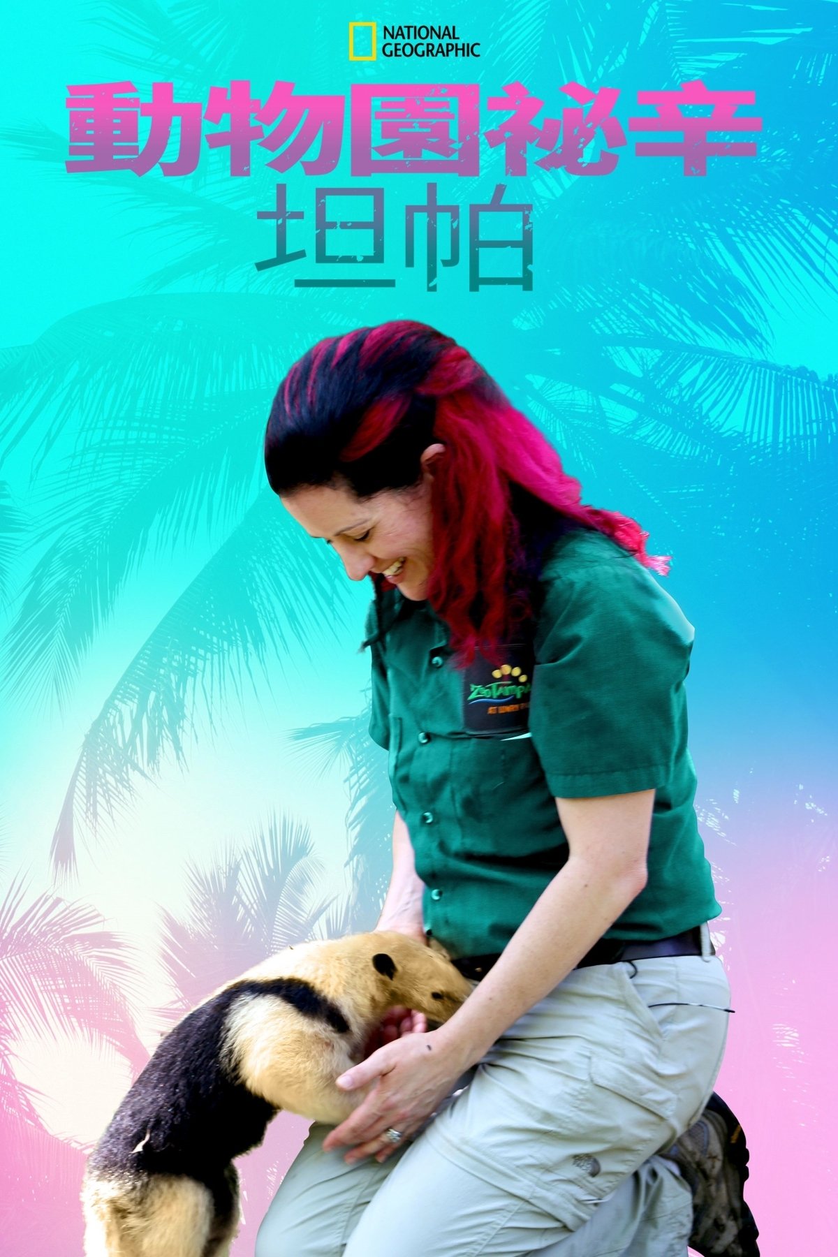 动物园秘辛：坦帕湾