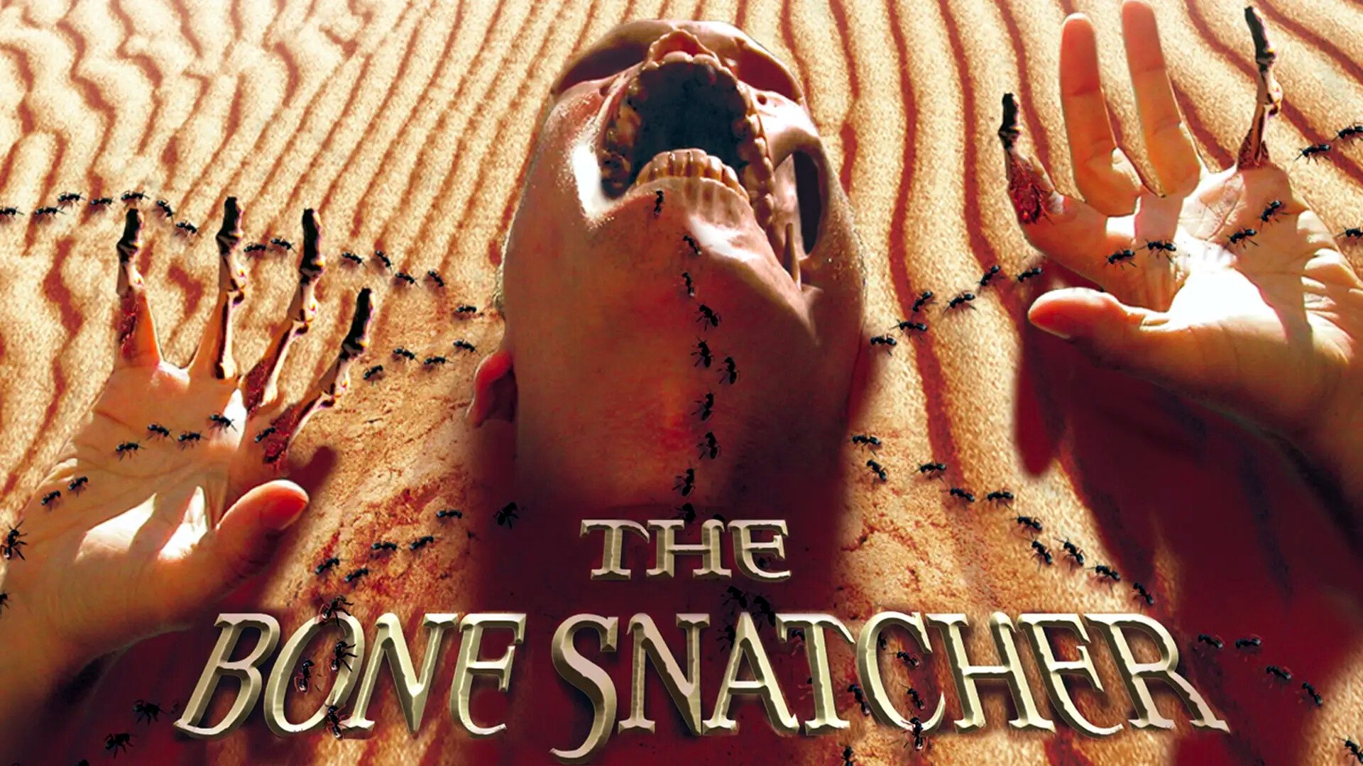 The Bone Snatcher (2003)