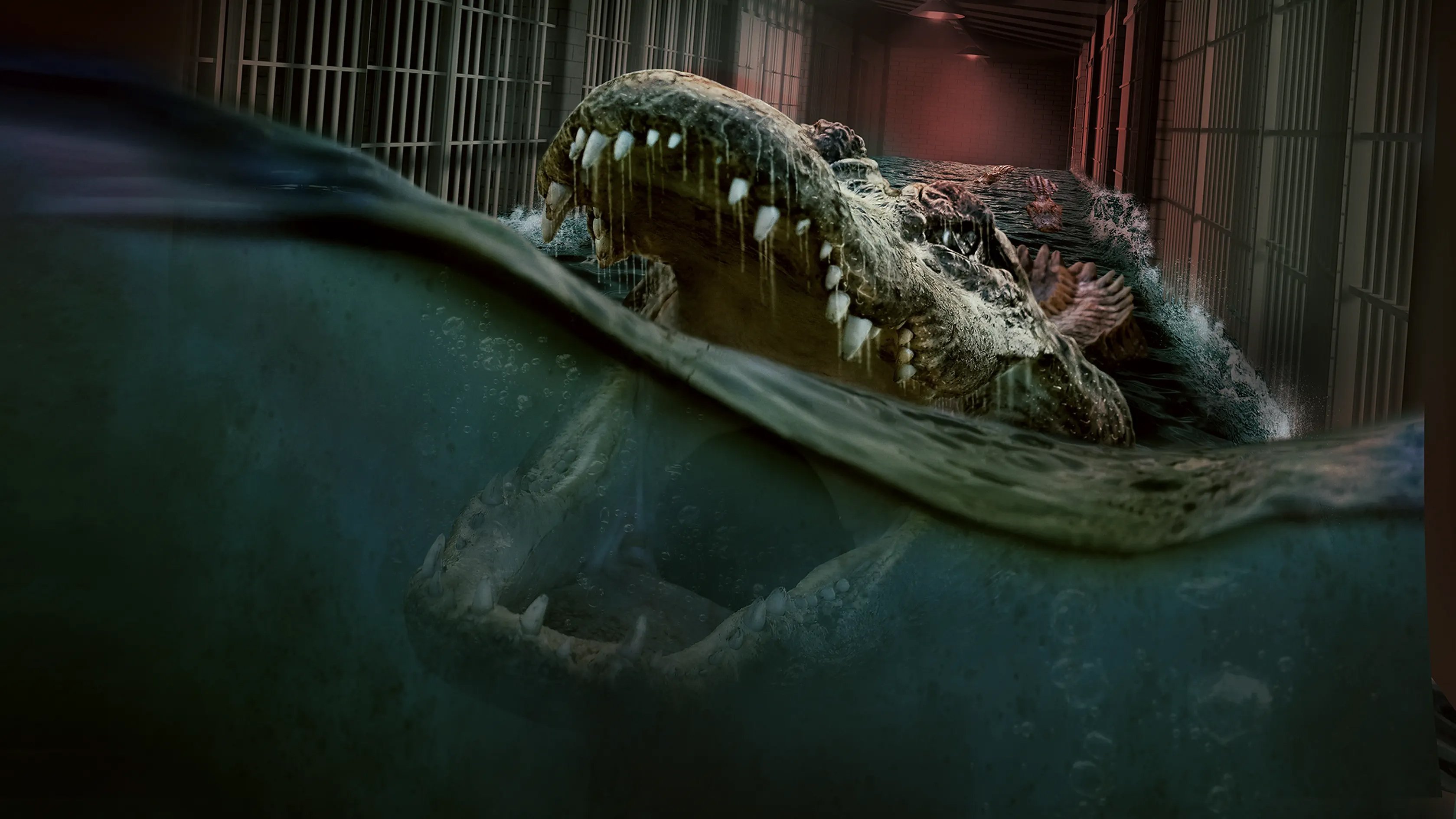 The Flood (2023)