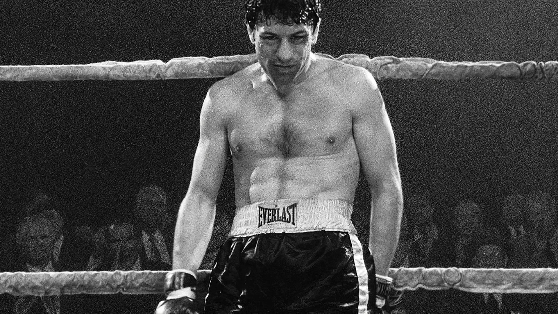 Image du film Raging Bull muckcfx8cyep8dsyibcvkkgspbxjpg