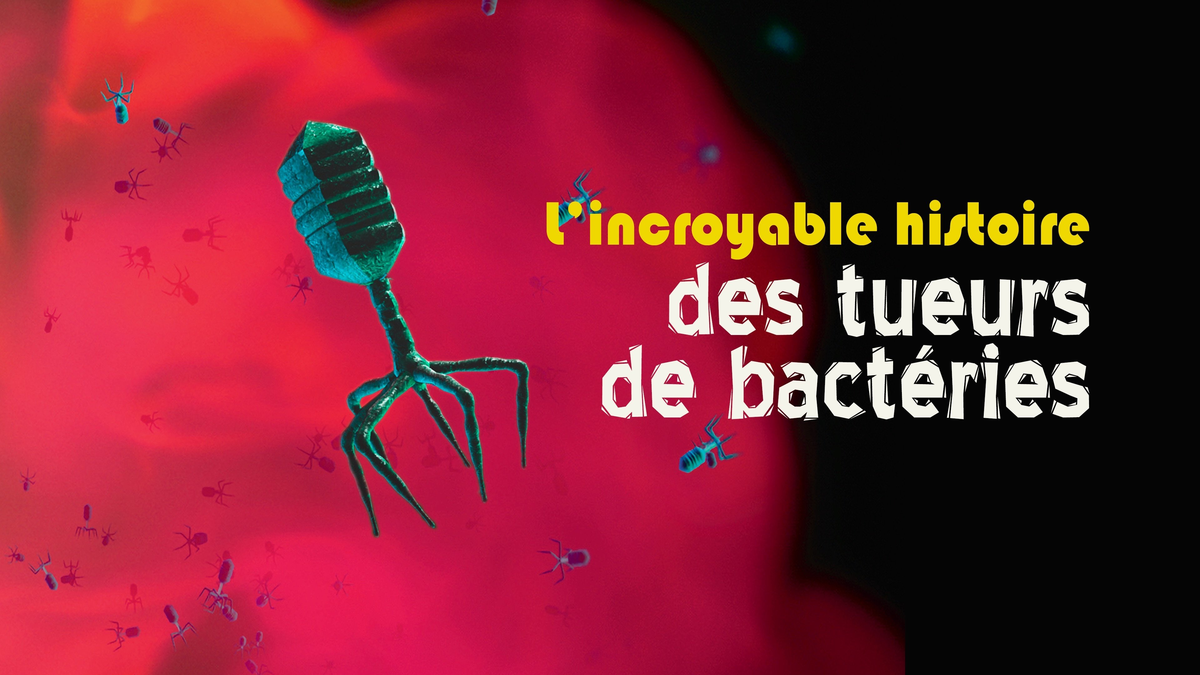 L'Incroyable Histoire des tueurs de bactéries