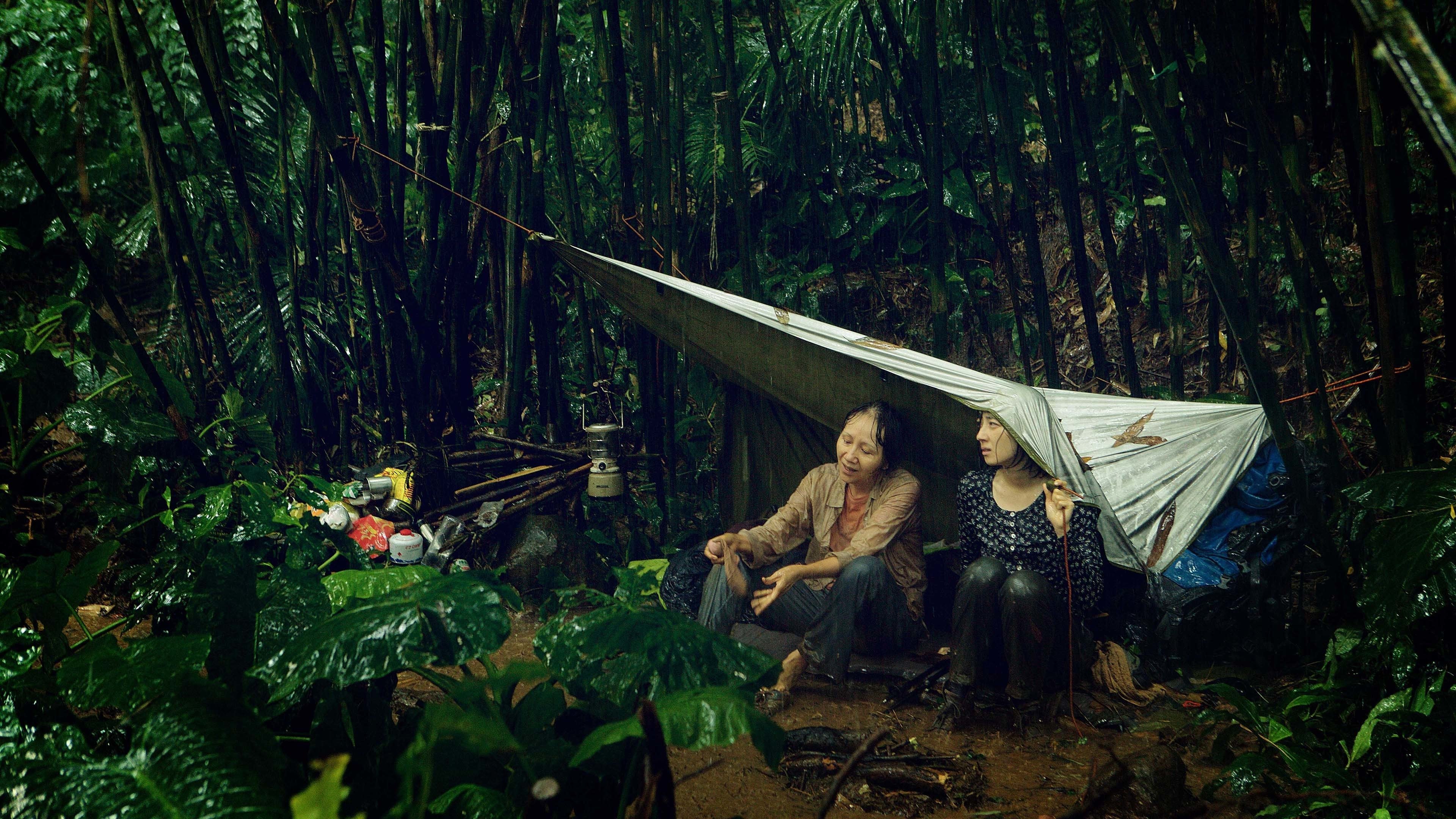 Forêt Debussy (2016)