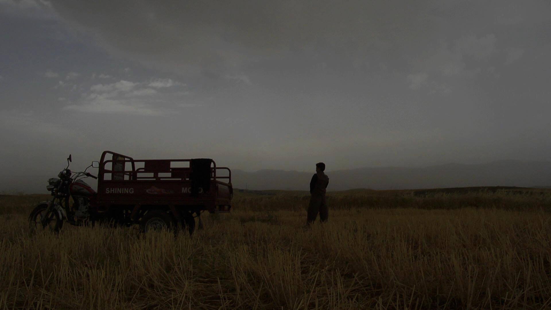 I Want To Live (2015)